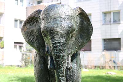 Elefant am Ollenhauerring in Bocklemünd