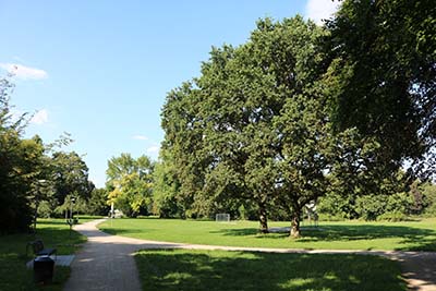 Rochuspark in Köln Bickendorf
